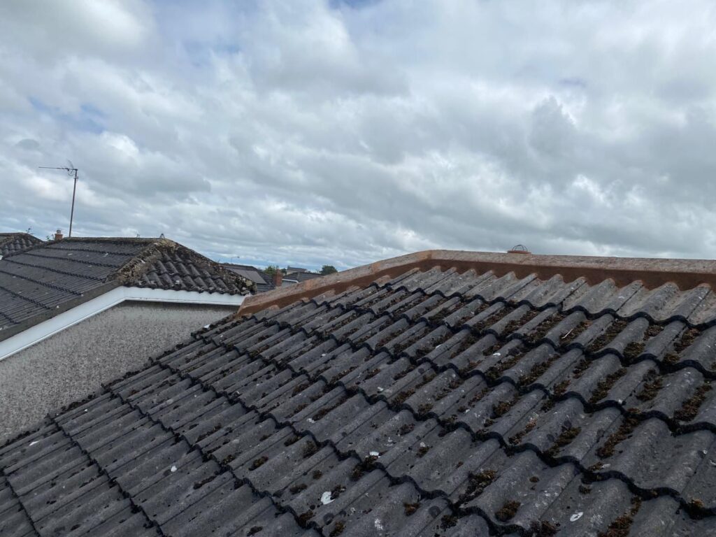7 Signs You Need a New Roof Replacement (Not Just Repairs)