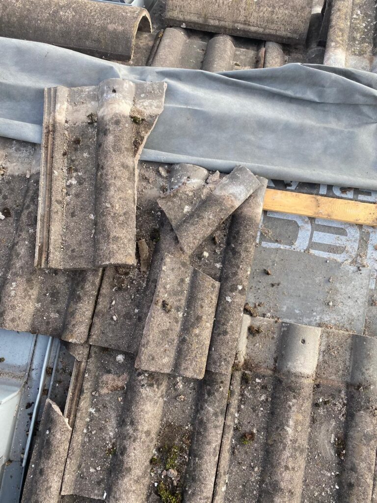 Why Moss on Your Roof Is Dangerous (And How to Remove It Safely)