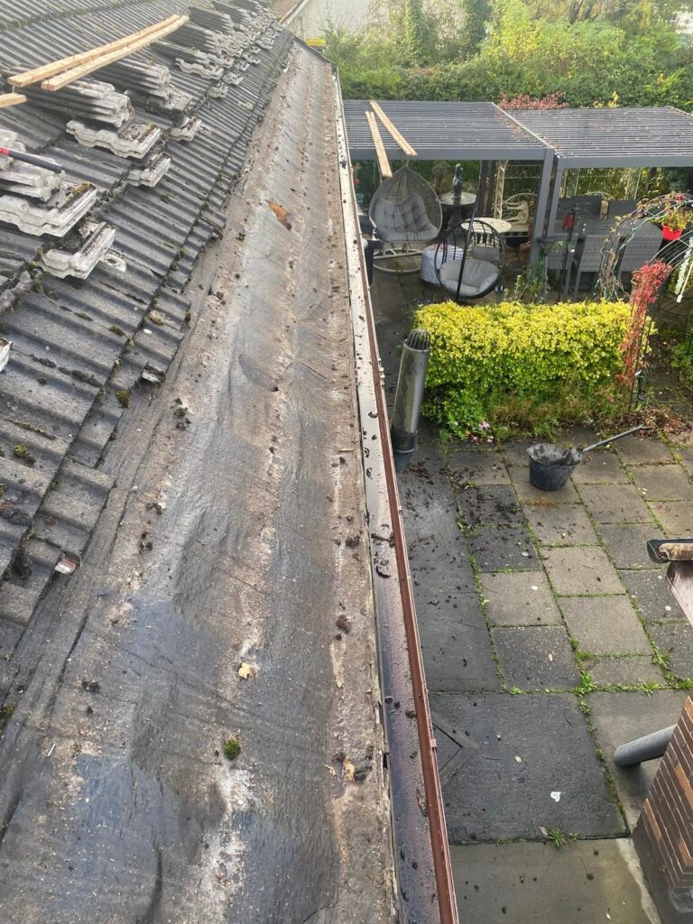 Roof Restoration vs Replacement: Which Option Saves You More Money in Ireland?