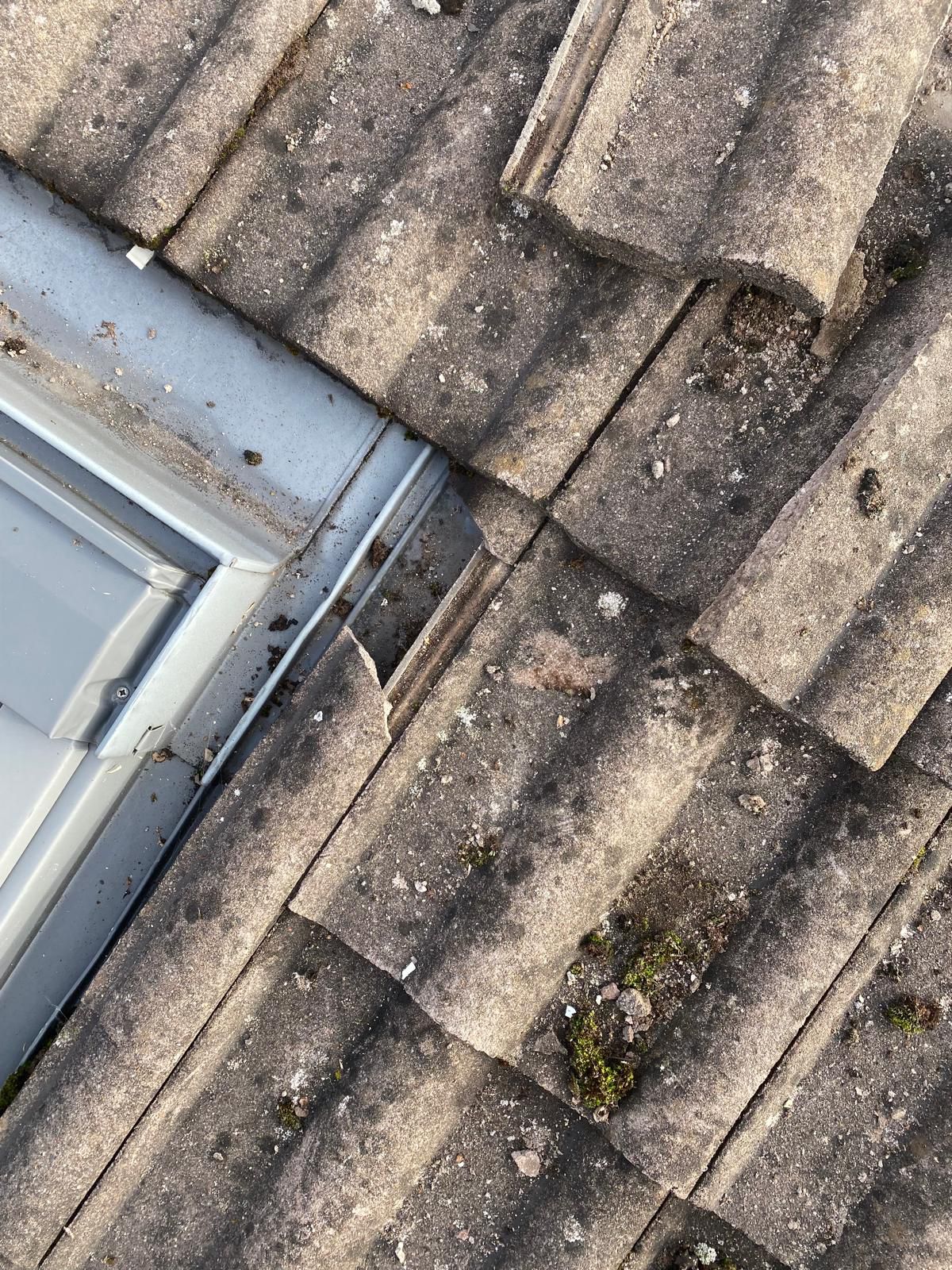 Emergency Roof Leak in Ireland: What to Do Before the Roofer Arrives