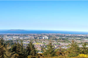 Roof Restoration vs Roof Replacement in Ireland: Cost, Lifespan & Savings